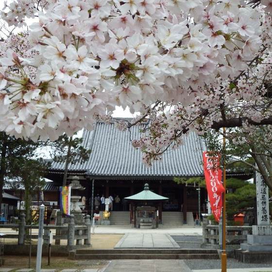 金倉寺