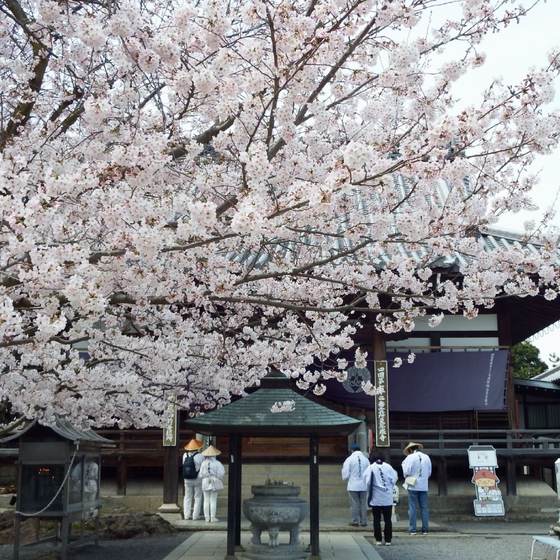 曼荼羅寺