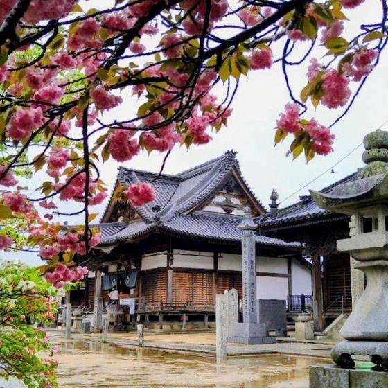 長尾寺