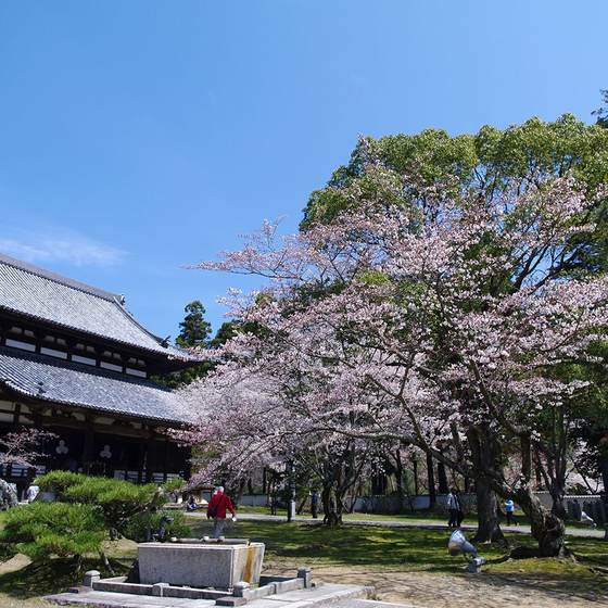 根香寺