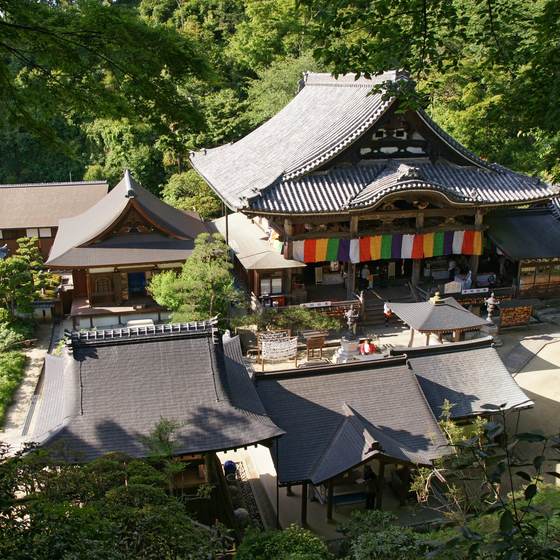 岡寺
