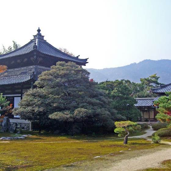 鹿王院