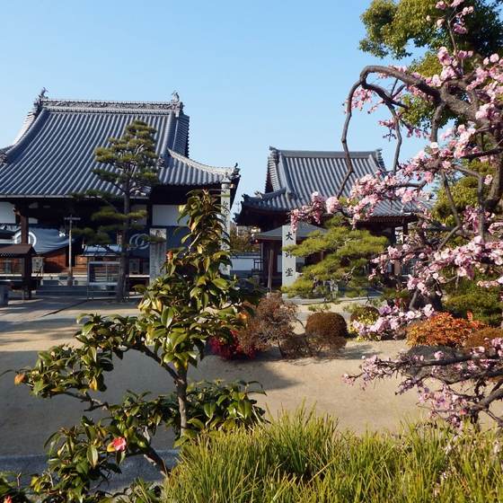 西林寺