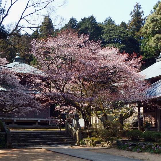 三角寺