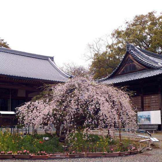 雪蹊寺