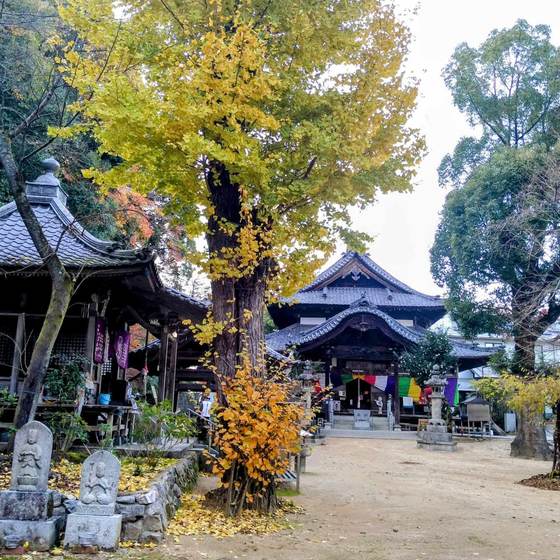 仙遊寺