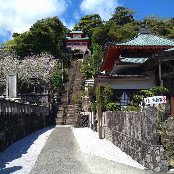 津照寺
