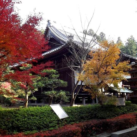 白峯寺