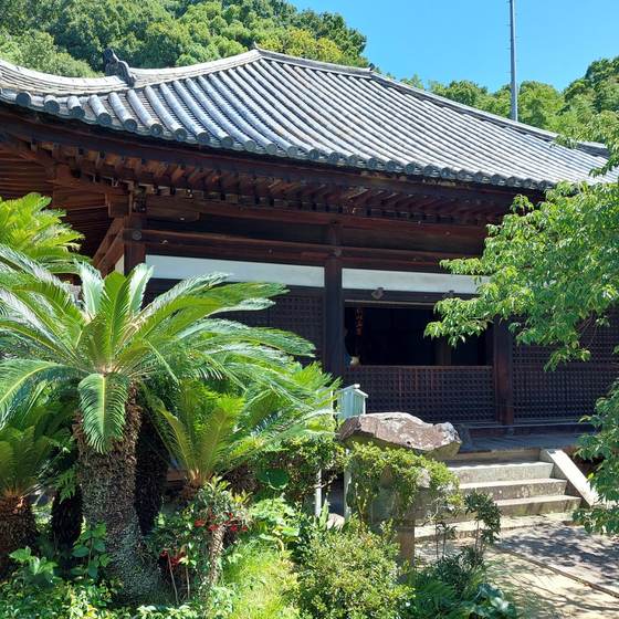 大宝寺