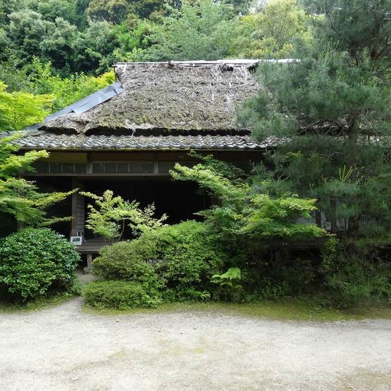 滝口寺