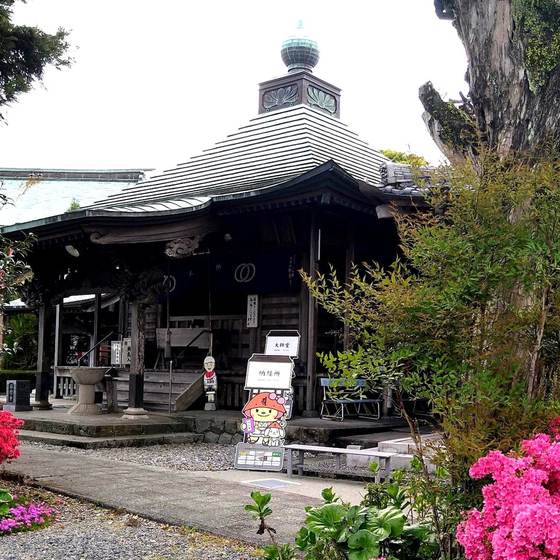 種間寺