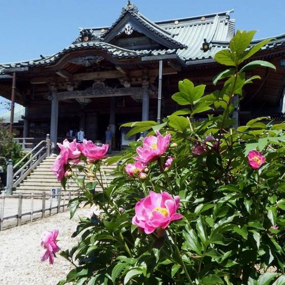 立江寺
