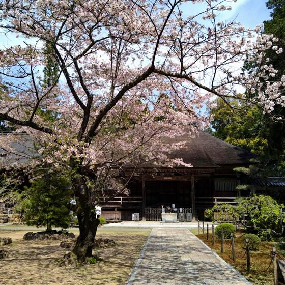 土佐国分寺