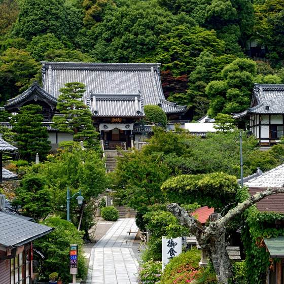 楊谷寺