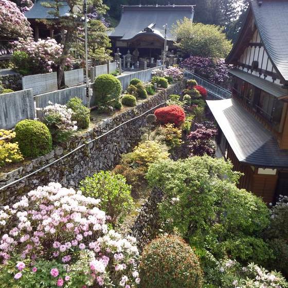 横峰寺