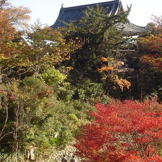 善峯寺