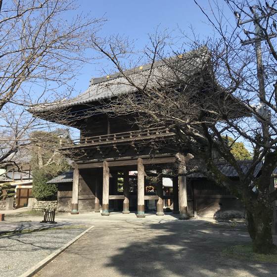 善導寺