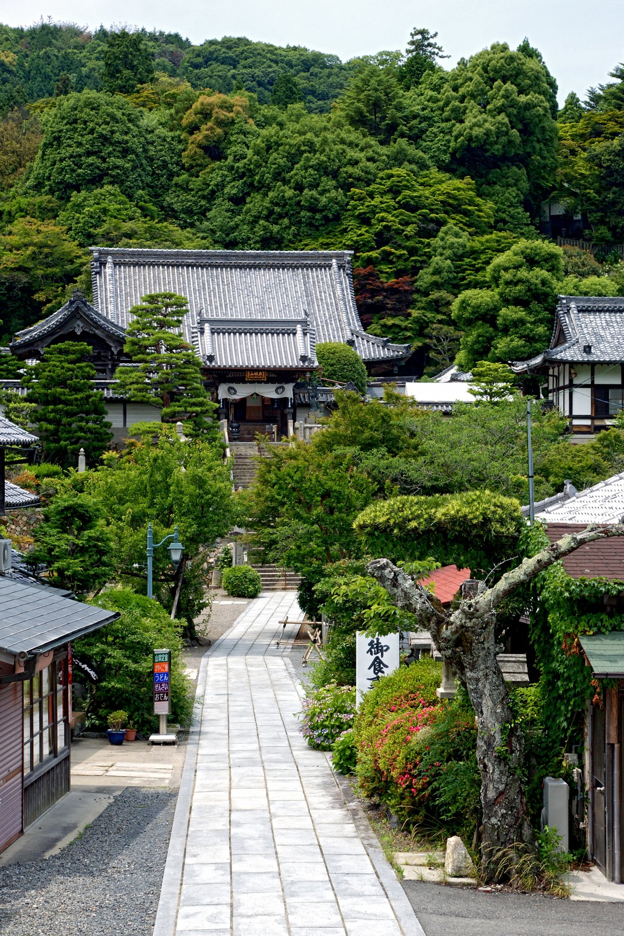 楊谷寺